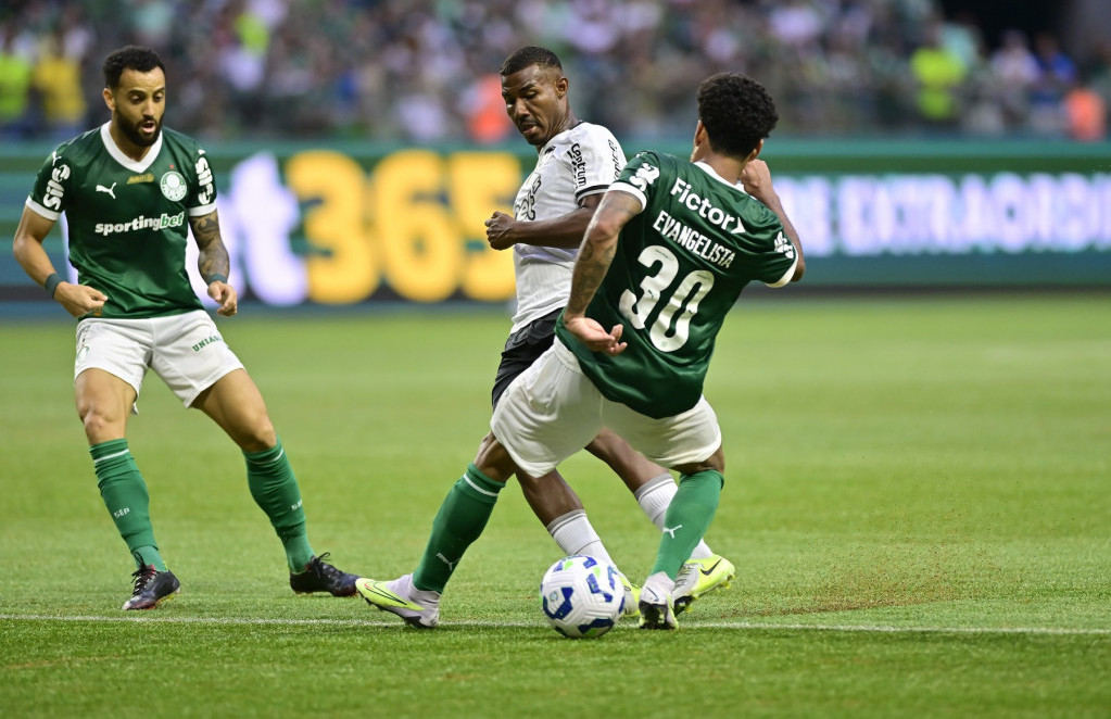 Detalj sa meča Botafogo - Palmeiras iz prvenstva Brazila